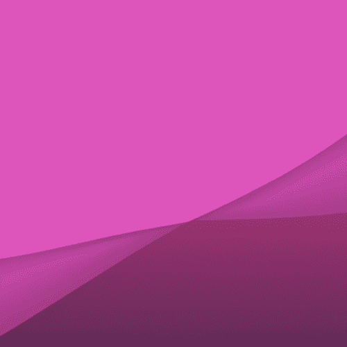 How the Brain Learns a New Language